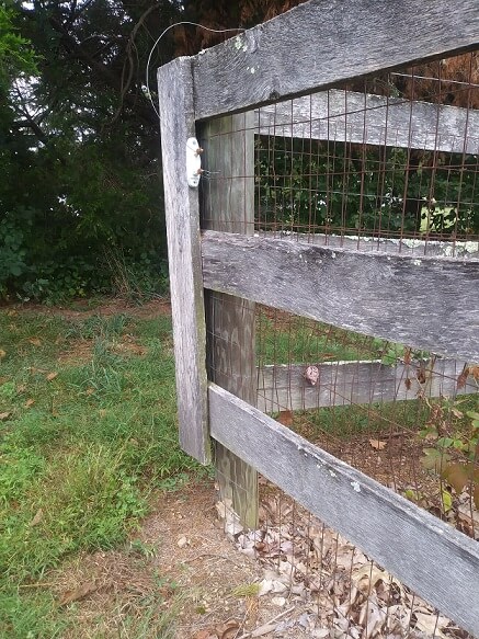 Shows a lightning arrester for an electric fence. The ground side is connected to my existing non-electric fence. Because the non-electric fence is buried in the ground, it acts as a direct ground.  