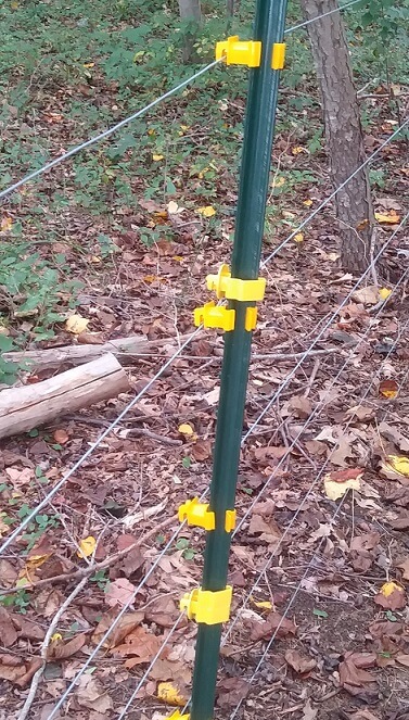 Shows a T post with a broken yellow insulator, used to keep high tensile wire separated from the metal T-post